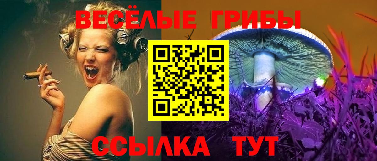 Кизилюрт  наркошоп  Вход с VPN  Галлюциногенные грибы ЛСД  Галлюциногенные грибы Magic Shrooms 